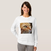 Bepaald gezichtsveld van een gemberkat t-shirt (Voorkant volledig)