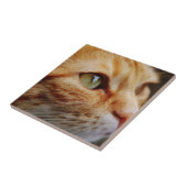 Bepaald gezichtsveld van een gemberkat tegeltje (Zijkant)