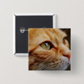 Bepaald gezichtsveld van een gemberkat vierkante button 5,1 cm (Voorkant /achterkant)
