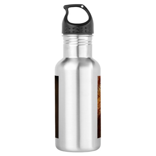 Bepaald gezichtsveld van een gemberkat waterfles  (Achterkant)