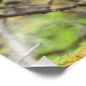 Bepaalde Porcupine Foto Afdruk (Hoek)