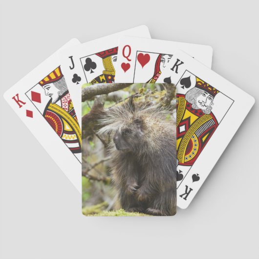 Bepaalde Porcupine Pokerkaarten (Achterkant)