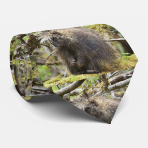 Bepaalde Porcupine Stropdas