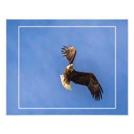 Bepaling Foto Afdruk