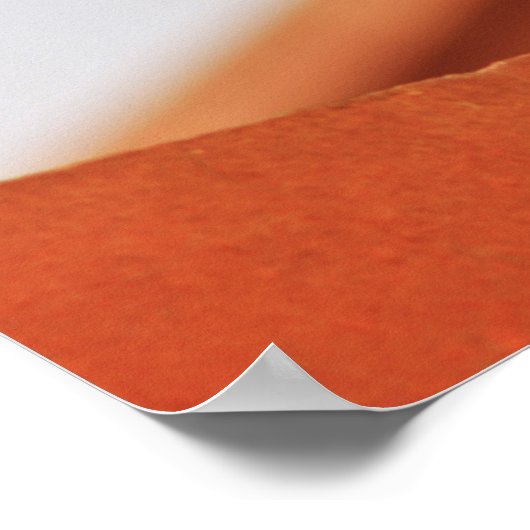 Bepaling Poster (Hoek)