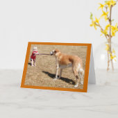 Bepalingskaart Kaart (Gele Bloem)