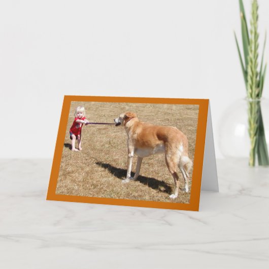 Bepalingskaart Kaart (Voorkant)