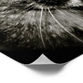 Beperkte afdruk van monokey Cat Canvas Poster (Hoek)