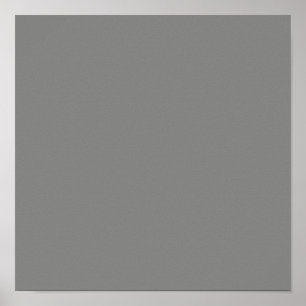 Beproevingsgrijs (vaste kleur) poster