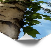 berch umbrella poster (Hoek)