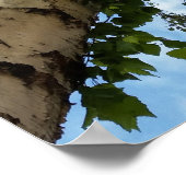 berch umbrella poster (Hoek)