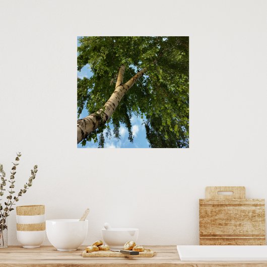 berch umbrella poster (Keuken)