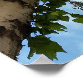 berch umbrella poster (Hoek)