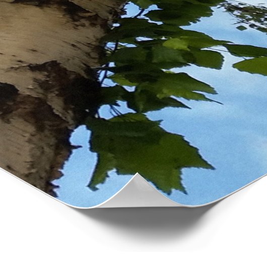 berch umbrella poster (Hoek)