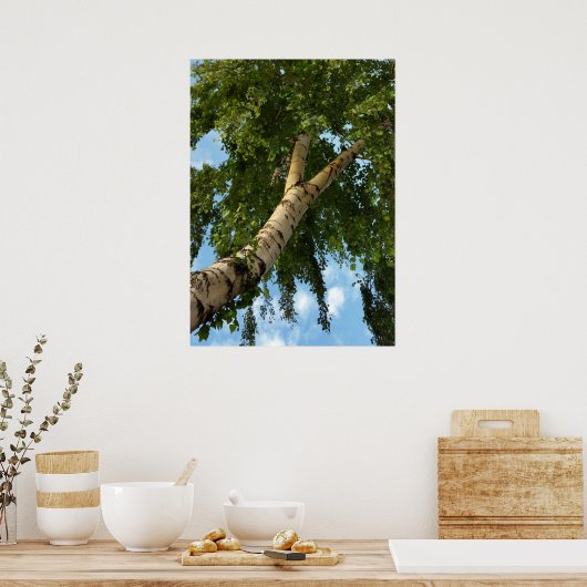 berch umbrella poster (Keuken)