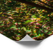 Berea Herfsten, Ohio Poster (Hoek)