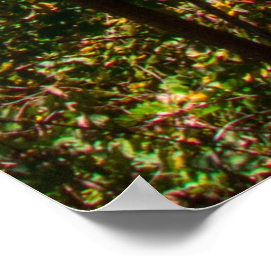 Berea Herfsten, Ohio Poster (Hoek)