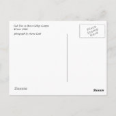 Berea Oak na Ice Storm Briefkaart (Achterkant)