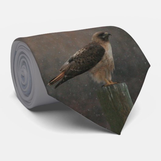 Bereid voor het opstijgen stropdas (Opgerold)