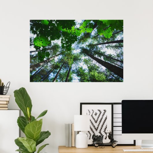 Bereik de hemelboom-foto poster (Thuiskantoor)