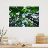 Bereik de hemelboom-foto poster (Keuken)