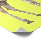 Bereik het poster (Hoek)