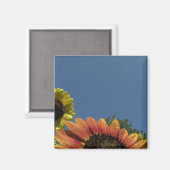 Bereik naar de hemel! magneet (Voorkant / Achterkant)