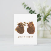 Bereik uit briefkaart (Staand voorkant)