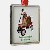 Bereik uit de reddingwagon metalen ornament (Rechts)