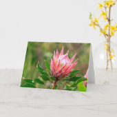 Bereik voor de lucht kaart (Gele Bloem)