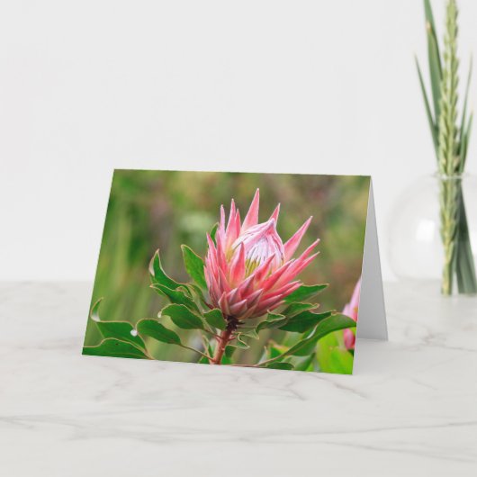 Bereik voor de lucht kaart (Voorkant)