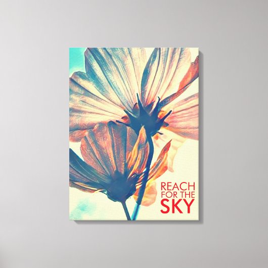 Bereik voor de Sky Cosmos Flower Canvas Afdruk (Voorkant)