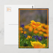 Bereik voor de ster briefkaart (Voorkant / Achterkant)