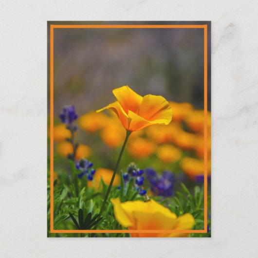 Bereik voor de ster briefkaart (Voorkant)