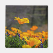 bereik voor de ster magneet (Voorkant)