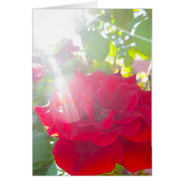 Bereik voor de zon (5)