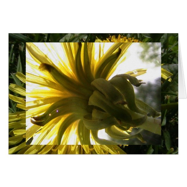 bereiken (Voorkant Horizontaal)