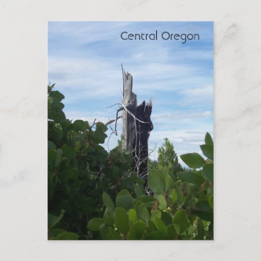 bereiken briefkaart (Voorkant)