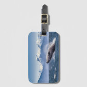 Bereikende hoefijzerwalvis in Alaska Bagagelabel (Voorkant (verticaal))