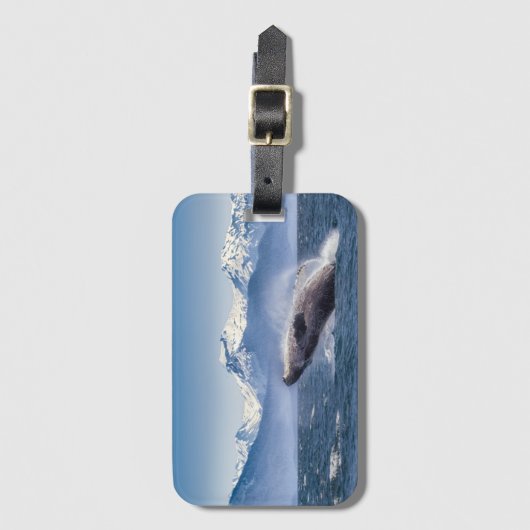 Bereikende hoefijzerwalvis in Alaska Bagagelabel (Voorkant (verticaal))