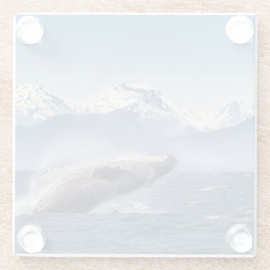 Bereikende hoefijzerwalvis in Alaska Glazen Onderzetter (Achterkant)