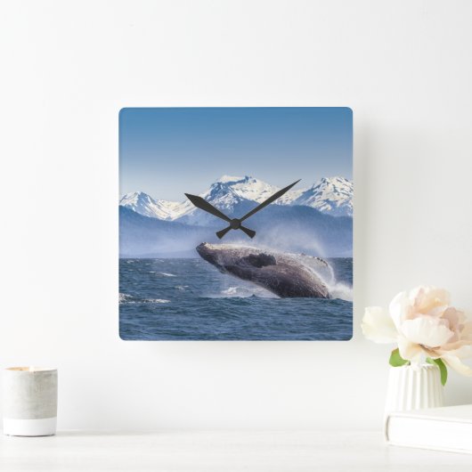 Bereikende hoefijzerwalvis in Alaska Vierkante Klok (Huis)