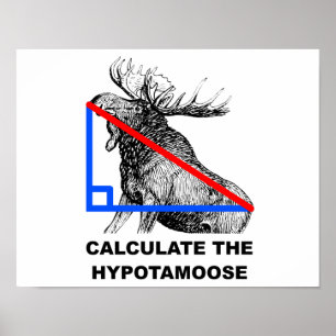 Bereken de Hypotamoose Grappige Poster