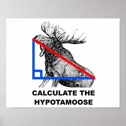 Bereken de Hypotamoose Grappige Poster (Voorkant)