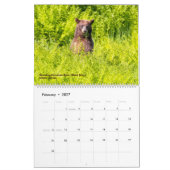 BEREN - Belinda Greb Fotografie Kalender (Feb 2027)