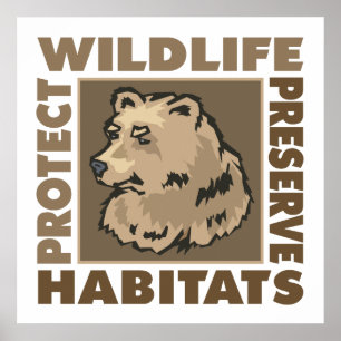 Beren - Beschermen van de habitat van wilde dieren Poster