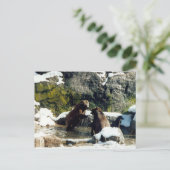 beren briefkaart (Staand voorkant)