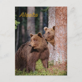 Beren Briefkaart