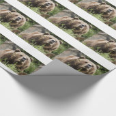 BEREN CADEAUPAPIER (Hoek)