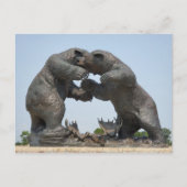 Beren - Dundee, Michigan Briefkaart (Voorkant)